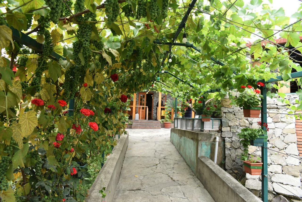 Nikala Bed and Breakfast Τελάβι Εξωτερικό φωτογραφία