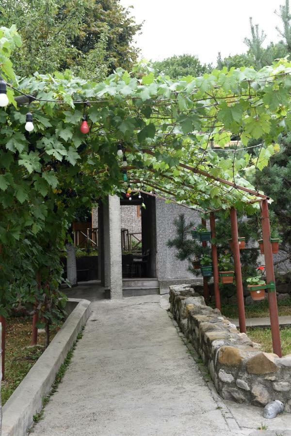 Nikala Bed and Breakfast Τελάβι Εξωτερικό φωτογραφία